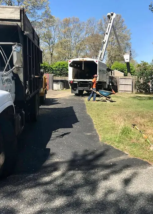 Jim's Complete Tree Service in action